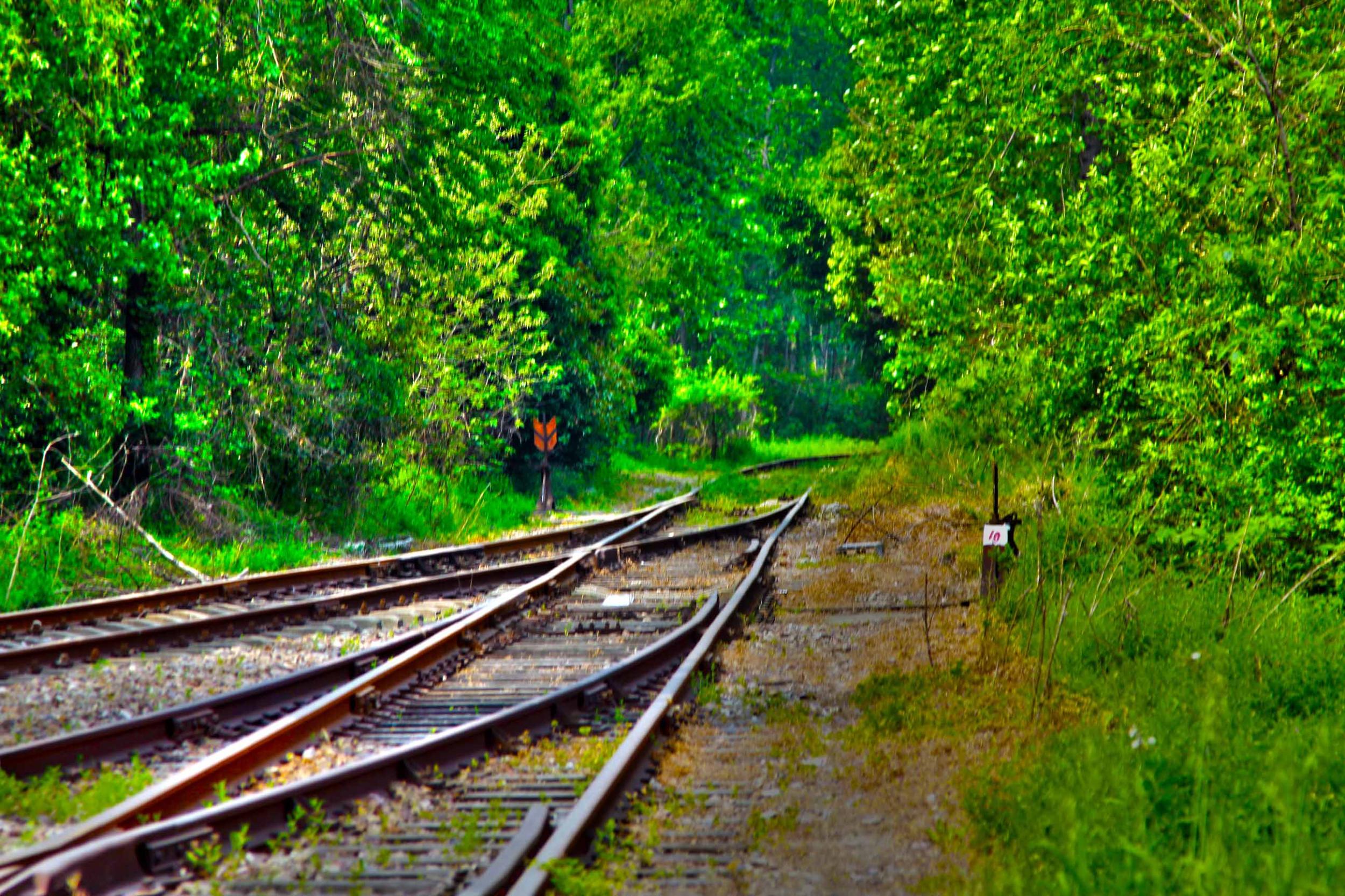 我省今年年內(nèi)有4條鐵路線投入運(yùn)營(yíng)更多出行選擇！