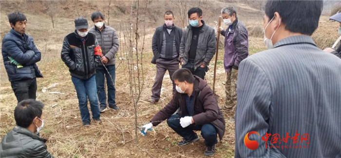 【甘肅全民戰(zhàn)“疫”】隴南徽縣：花椒田里培訓(xùn)忙，戰(zhàn)疫春耕兩不誤