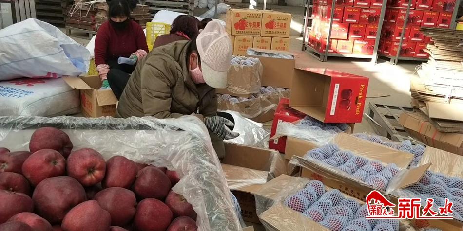 天水“花牛”最近有點(diǎn)“?！?>
        </a><em>天水“花?！弊罱悬c(diǎn)“?！?/em></li>
    <li><a  target=