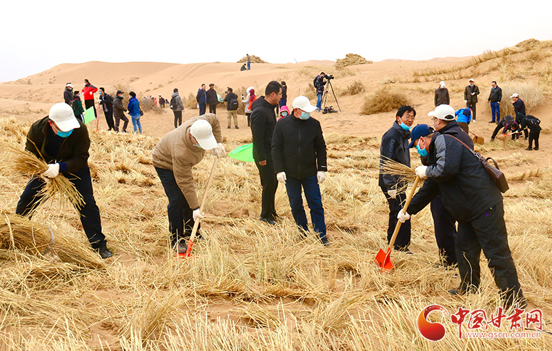 不“疫”樣的植樹節(jié)！甘肅省新聞戰(zhàn)線工作者攜手播綠“八步沙”（圖+視頻）