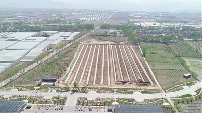 甘肅臨夏（中荷）國際鮮花港項目進(jìn)展順利