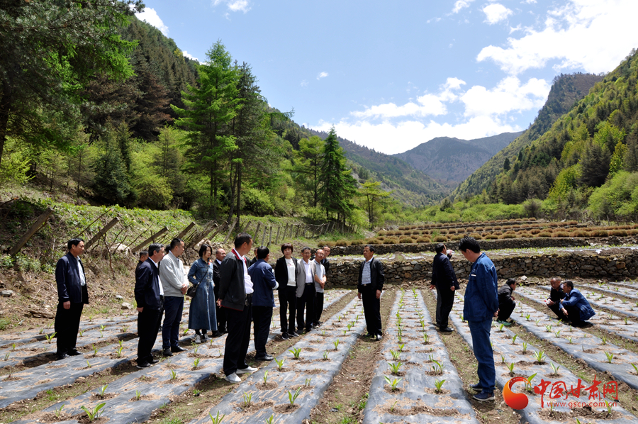 白龍江博峪河保護(hù)局開(kāi)展產(chǎn)業(yè)發(fā)展、義務(wù)勞動(dòng)成果現(xiàn)場(chǎng)觀摩交流活動(dòng)