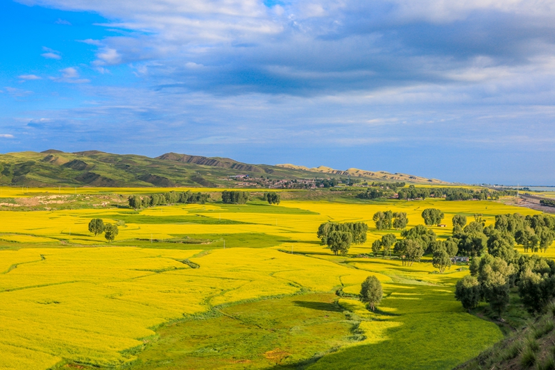 創(chuàng)意海報丨甘肅的美，你來了才知道
