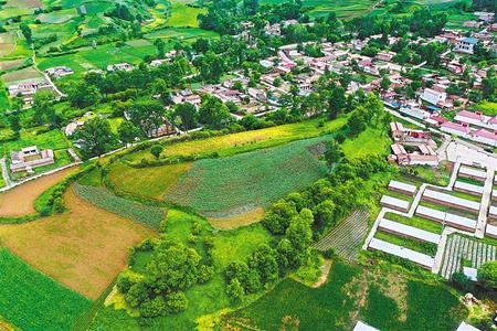 【溫暖的回響 滄桑巨變 飲水思源】這條路，通往幸福