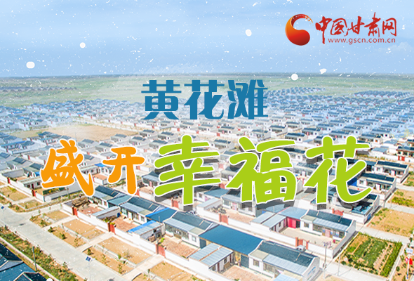 【跟著總書(shū)記看甘肅】長(zhǎng)圖|武威黃花灘盛開(kāi)幸?；?