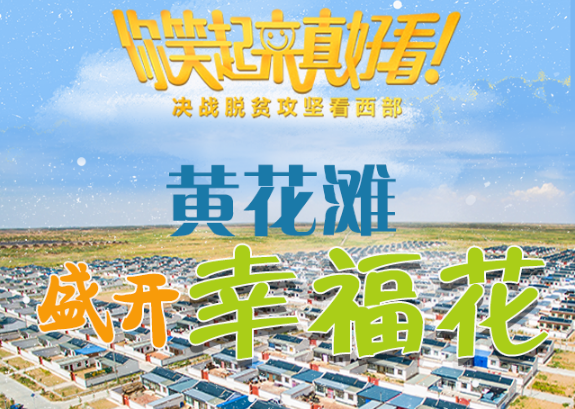 【你笑起來(lái)真好看】黃花灘盛開幸?；ǎ▓D解）