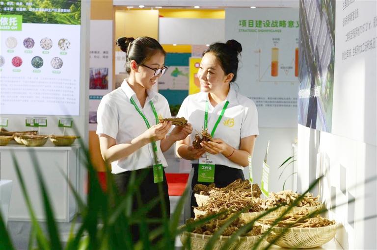 定西，從“千年藥鄉(xiāng)”邁向“中國藥都”