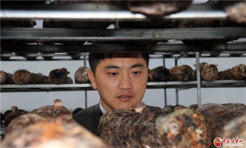 110年！何家溝村終于有了集體經(jīng)濟(jì)——中建二局黨建結(jié)對幫扶成效顯著