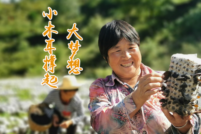 海報丨他們，乘“豐”破浪！