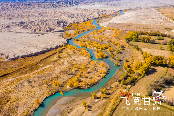 【飛閱甘肅】好美！疏勒河畔大地斑斕