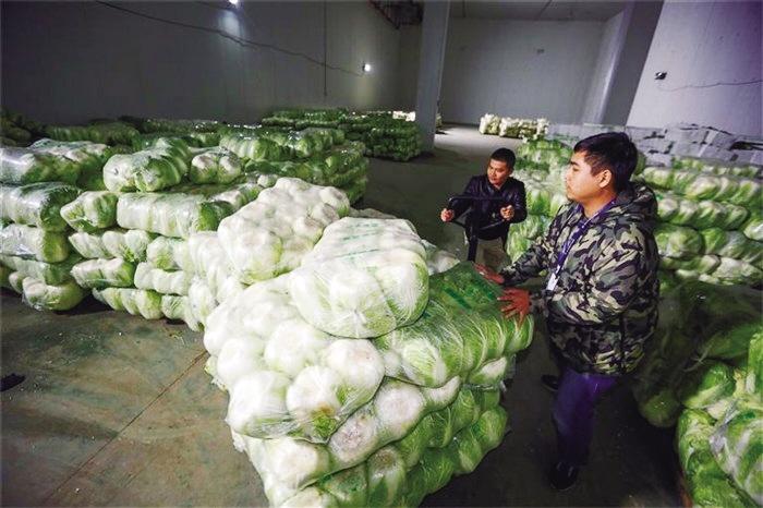 蘭州市已儲(chǔ)備1萬(wàn)噸冬春蔬菜 以耐貯存、易周轉(zhuǎn)品種為主