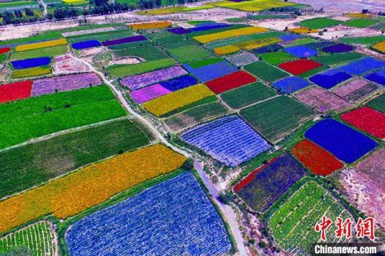 甘肅酒泉：除了天時地利，還有一“種”力