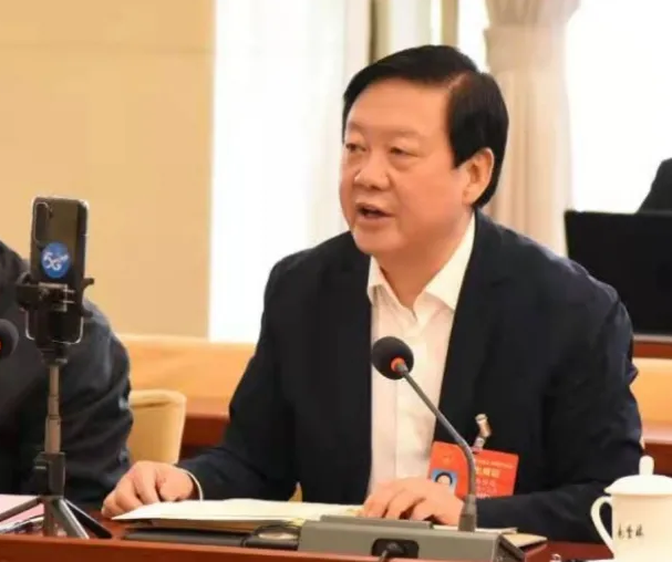 【聚焦2021全國兩會】全國人大代表、市委書記楊維俊接受中國日報記者采訪