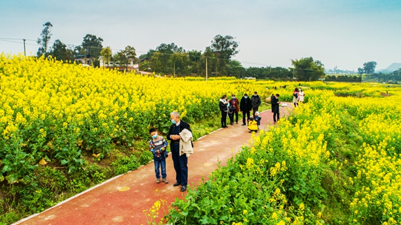 游客在花海里踏青。廖濤 攝