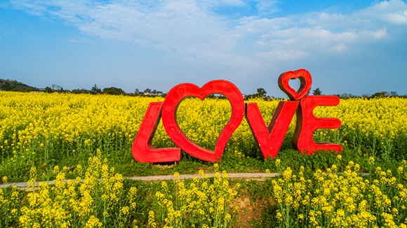 “l(fā)ove”創(chuàng)意拍照墻。廖濤 攝