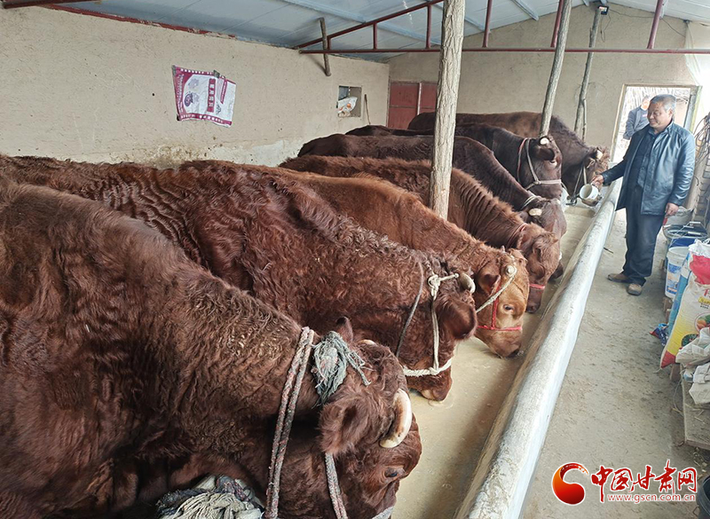 平?jīng)鰶艽ǎ骸芭！碑a(chǎn)業(yè)鋪就致富路