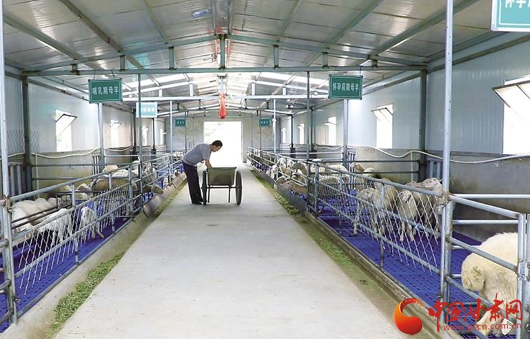 【小康之路 奮斗有我】懷一顆初心 擔(dān)一肩使命——記全國脫貧攻堅先進個人劉小兵