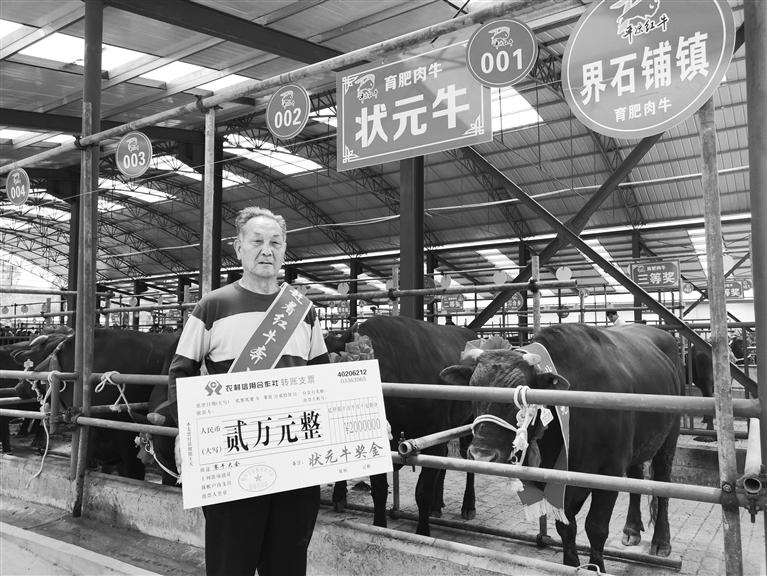 120頭“平?jīng)黾t?！膘o寧爭(zhēng)霸