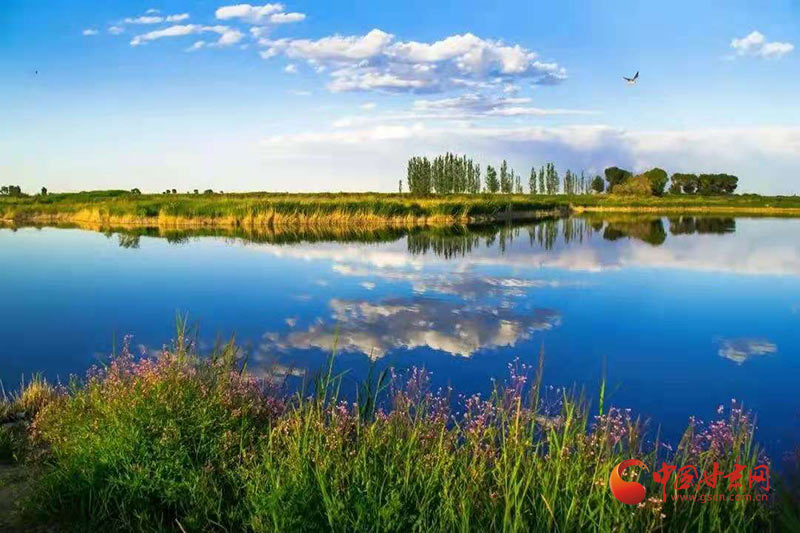 瓜州：落實(shí)“河長制” 推動“河長治”