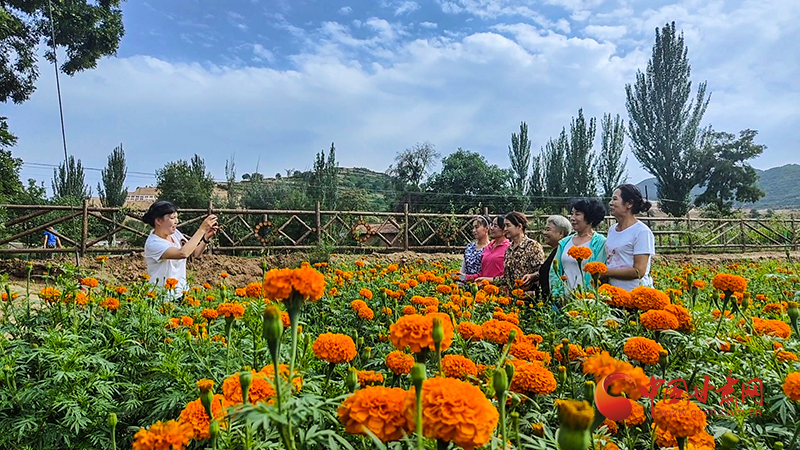 【小康圓夢(mèng)·看甘肅】崇信：古村古樹(shù)古民居 鄉(xiāng)村旅游顯生機(jī)