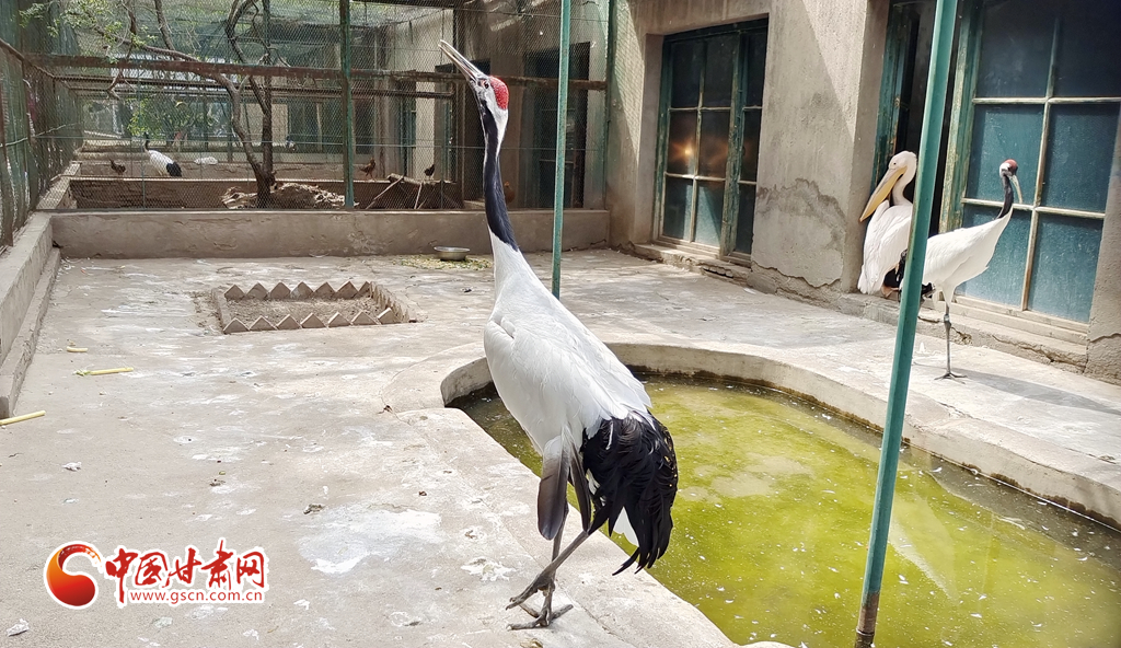 蘭州公安提醒市民：非緊急非必要，不出境