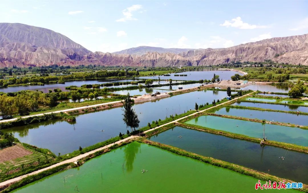 一秒入畫！太極島濕地風(fēng)光秀麗