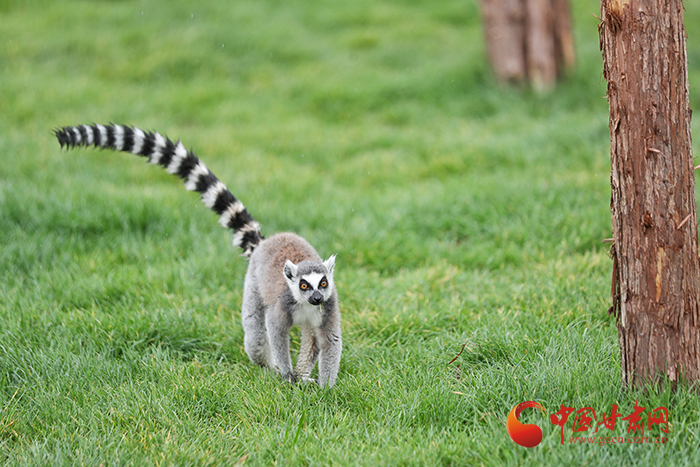 蘭州野生動物園今日開園 記者帶您搶先體驗(yàn)