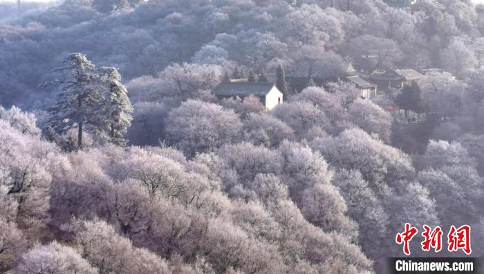 圖為霧凇美景?！⌒煺袢A 攝