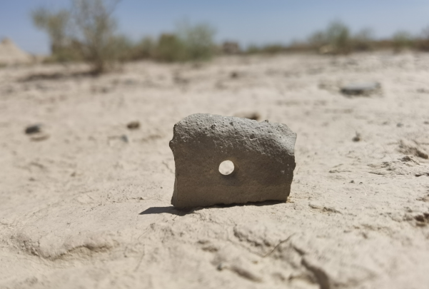 插圖1：河西走廊上遺存的古陶片。攝影：陳曉斌。拍攝日期：2020年6月。