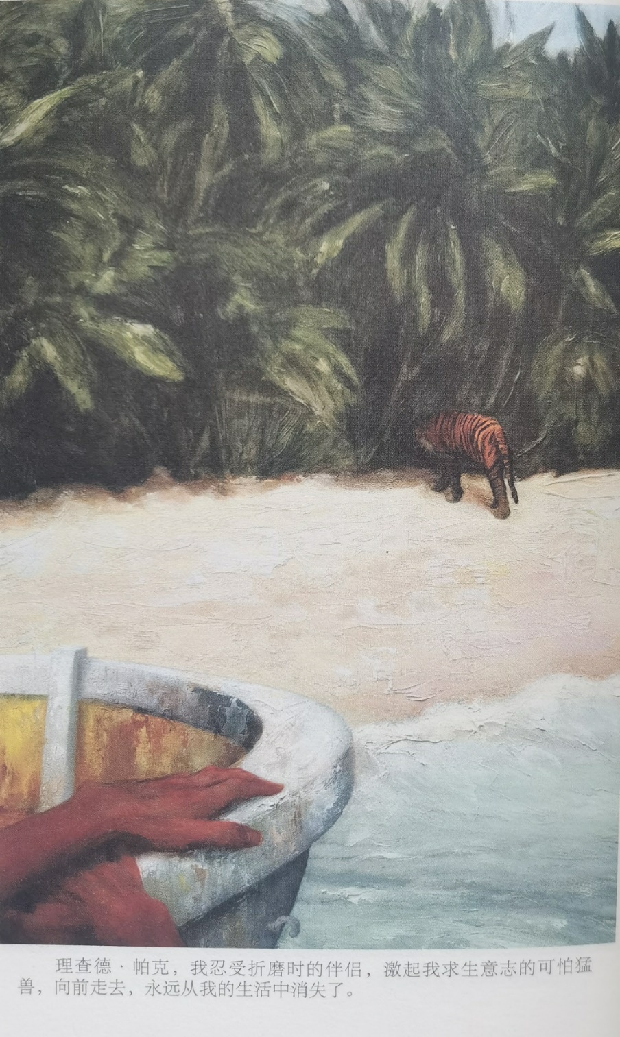 插圖3：揚(yáng)？馬特爾的小說《少年pi的奇幻漂流》插圖