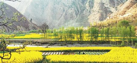 隴原百花次第開(kāi) 正是春耕好時(shí)節(jié)