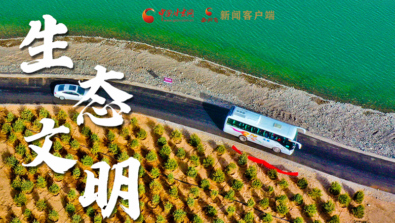 彈幕海報丨熱議甘肅省委十三屆十六次全會 網(wǎng)民聲音在回響！