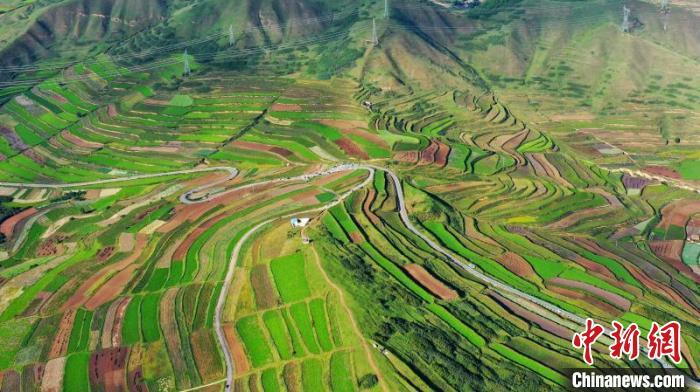 秋日里，榆中縣馬坡鄉(xiāng)千畝梯田，不同農(nóng)作物漸趨成熟，呈現(xiàn)出多種色彩，宛若大地的“調(diào)色盤(pán)”?！圆?攝