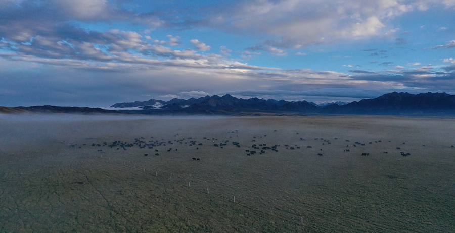 甘肅山丹馬場：峽谷云霧似仙境。 王超攝