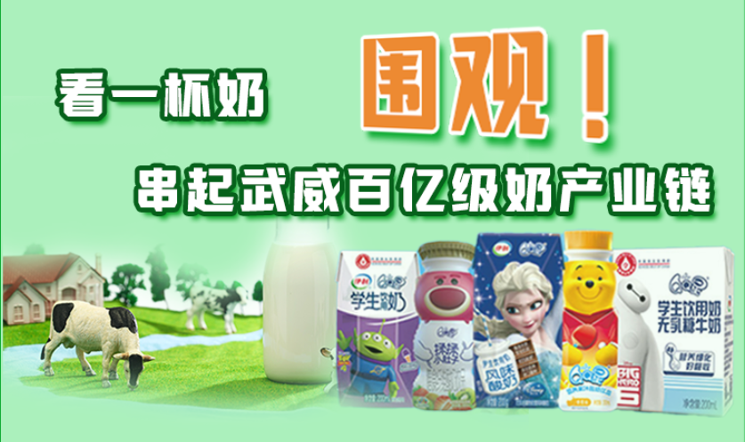 圖解|圍觀！看一杯奶串起武威百億級(jí)奶產(chǎn)業(yè)鏈