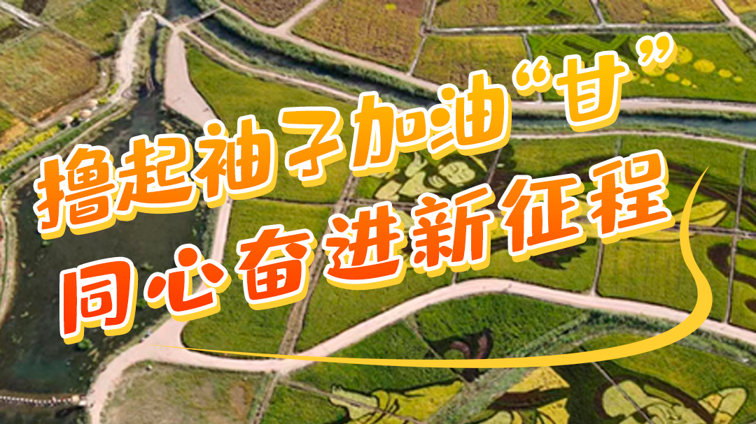 微海報|學(xué)報告 悟精神 擼起袖子加油“甘” 同心奮進(jìn)新征程(五)