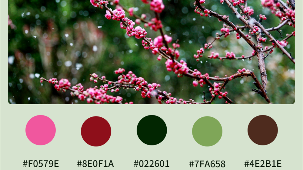 微海報|收藏！色卡里的春日甘肅