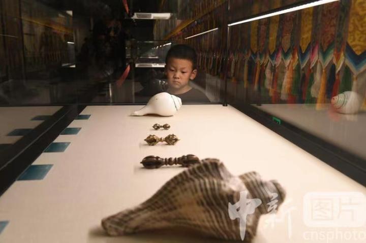 圖為展出的“白海螺法器”吸引小觀眾。 中新社記者 戴文昌 攝