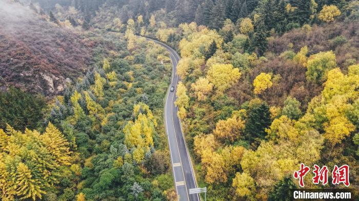 深秋，航拍位于蘭州市榆中縣的興隆山，景色如畫。金峯 攝</p>
<p>