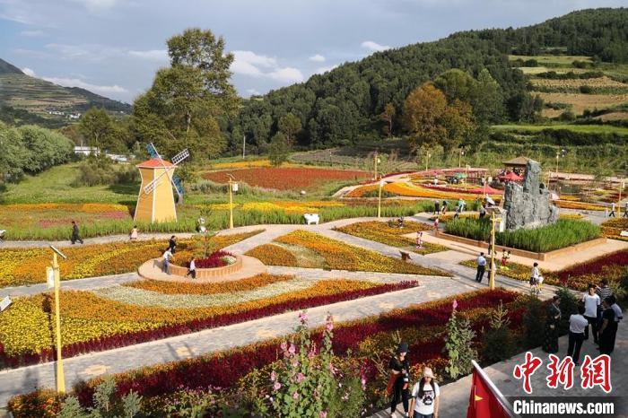 圖為航拍甘肅甘南臨潭縣八角鎮(zhèn)，花海吸引游人。(資料圖)高展 攝