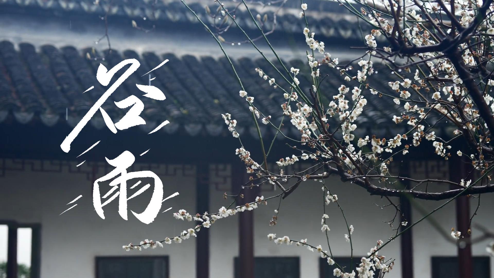 【節(jié)氣里的大美甘肅】谷雨，春天的最后一次回眸