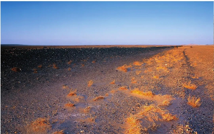 1715558634816594.jpg 20240513_080807_011.jpg