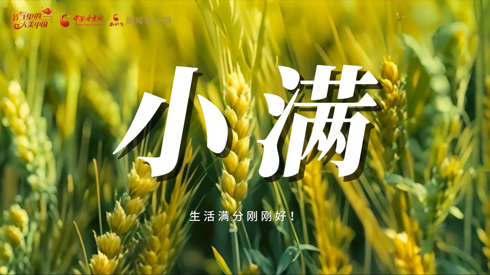 【節(jié)氣里的大美甘肅·小滿】生活滿分剛剛好！