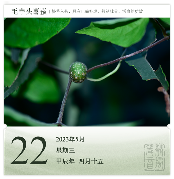 1714286159964573.png 箴歷日歷5-22.png