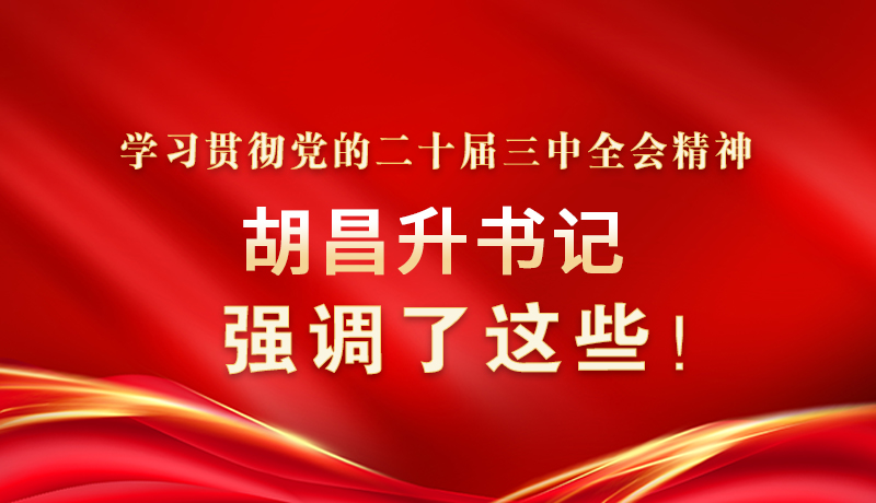 圖解|學習貫徹黨的二十屆三中全會精神 胡昌升書記強調(diào)了這些！