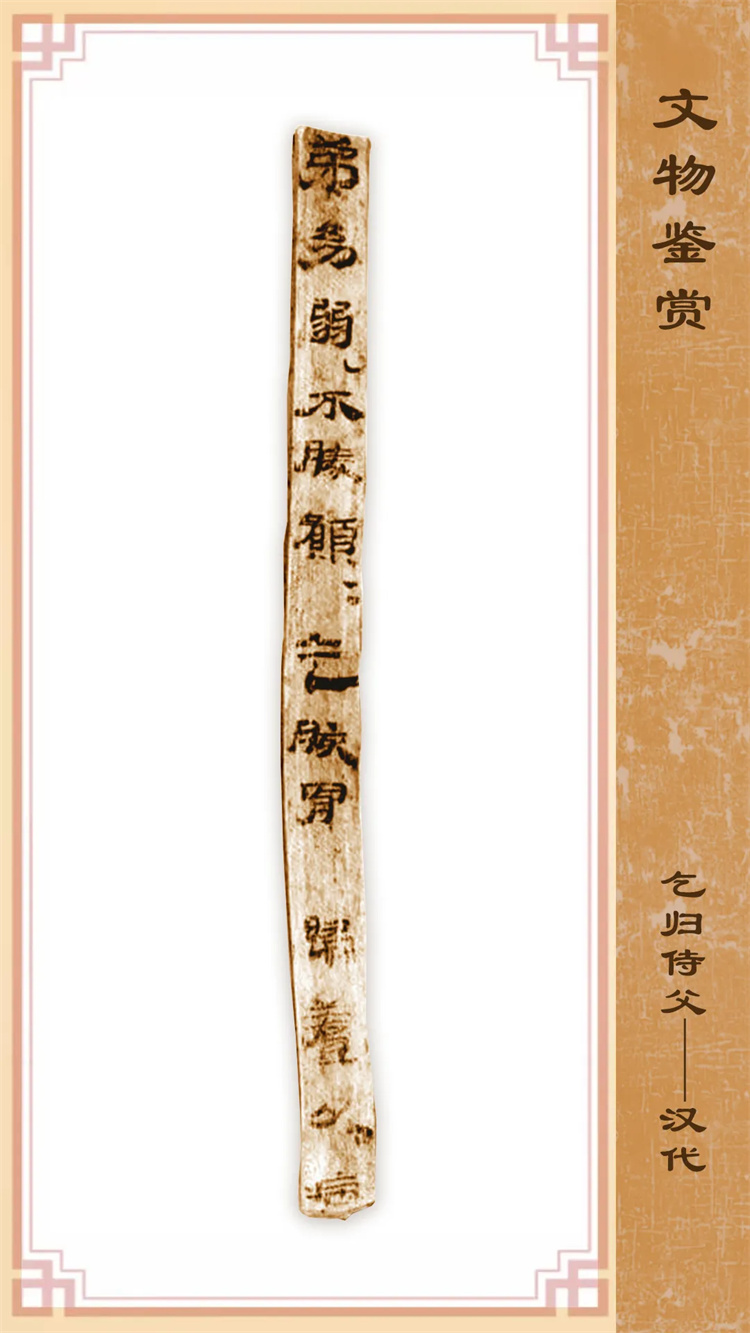 1731884429486457.jpg 1731884429486457.jpg