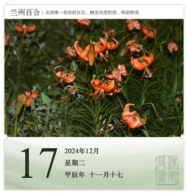 1732870395846717.png 箴歷日歷12-17.png