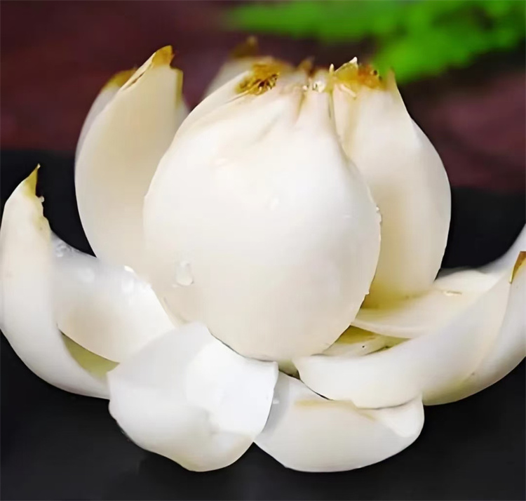 1732870425499607.jpg 1732870425499607.jpg