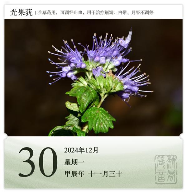 1732871807817724.png 箴歷日歷12-30.png