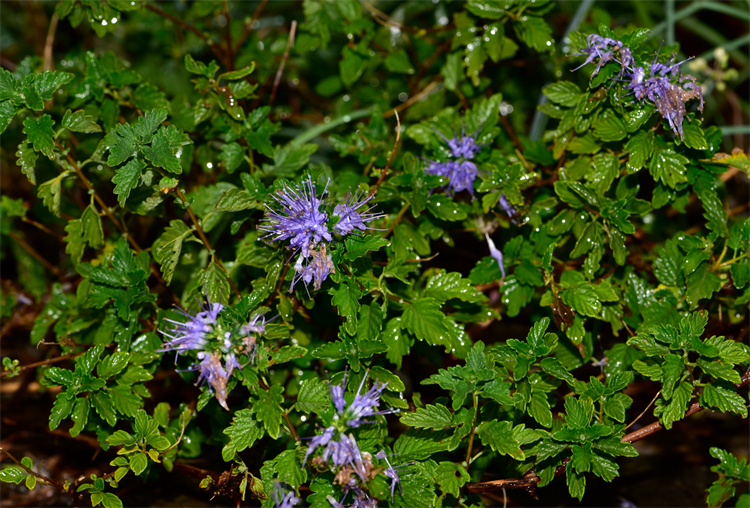 1732871837345210.png 30-2.png